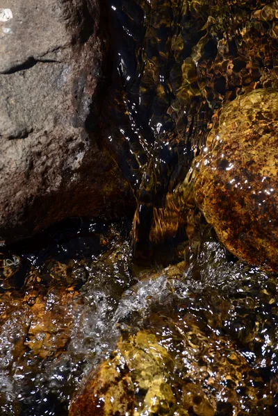 DSC_3629 (Large).JPG